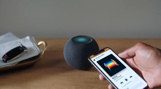 Apple HomePod mini – Slimme Speaker met Siri – Spacegrijs (MJ2C3D/A)